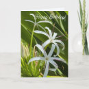Search for spider birthday cards Green