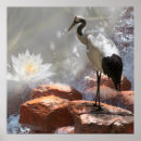 Search for longevity posters Cranes