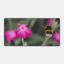 Search for bee flower photo electronics Nature