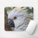 Search for cockatoos mouse mats Australian