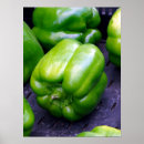 Search for bell pepper posters Green