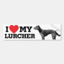 Search for greyhound bumper stickers Adopt