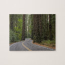 Search for redwood puzzles Outdoors