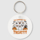 Search for cloak key rings Halloween pet costume