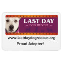 Search for adoption magnets Rescue