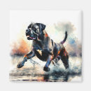 Search for cane magnets Dog