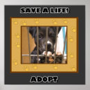 Search for animal rescue posters Adopt