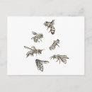 Search for bee design postcards Bees