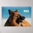 Search for 1 photo posters Create your own