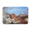 Search for rabbit bathroom accessories Wild animal