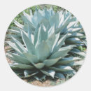 Search for agave stickers Green