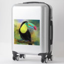 Search for toucan bird stickers Exotic