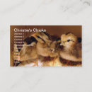Search for chicks business cards Animals