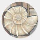 Search for snails shell stickers Seashell