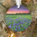 Search for rural christmas tree decorations Springtime
