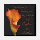Search for calla magnets Elegant