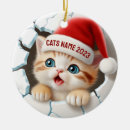 Search for kittens christmas tree decorations Cats