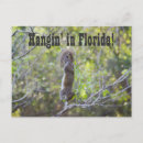 Search for hangin Funny