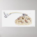 Search for noahs ark posters Rainbow