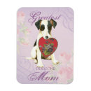 Search for smooth magnets Puppy