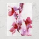 Search for blossom blank postcards Abstract