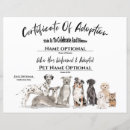Search for adoption certificate Cute
