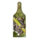 Search for frog cookware Nature