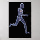 Search for vascular Body