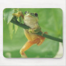 Search for tree mouse mats Nature