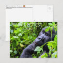 Search for forest postcards Travel