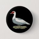 Search for wild duck badges Waterfowl