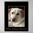Search for bred posters Dog