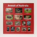 Search for australian birds puzzles Animals