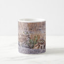 Search for burrowing mugs Animals