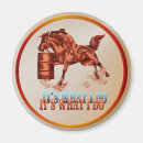 Search for barrel magnets Western