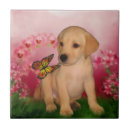 Search for labrador puppy tiles Puppies