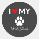 Search for rat terrier stickers Puppies