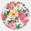 Search for frangipani stickers Asian