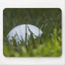 Search for hide mouse mats Outdoors