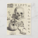 Search for skull illustration postcards Spooky