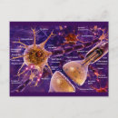 Search for synapse postcards Neuron