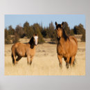 Search for mountain horse posters Farm