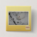 Search for stealth badges I can has cheezburger