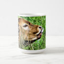 Search for bovines mugs Farming