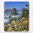 Search for coasts mouse mats Surf
