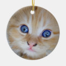 Search for orange kitten christmas tree decorations Sweet