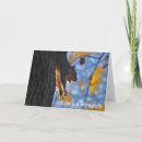 Search for stretched cards Funny