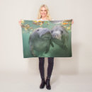 Search for manatee blankets Sea cow