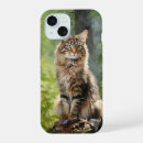 Search for maine coon iphone cases Feline