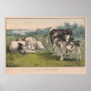 Search for vintage farm posters Cow